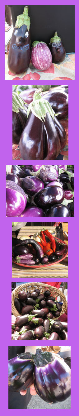eggplants aubergine brinjal