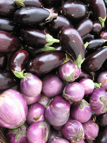 eggplant will be here forever.