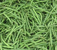 lots of green beans