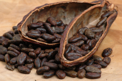 raw cocoa beans