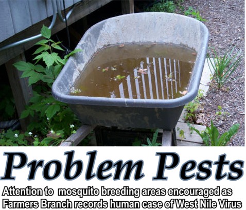 Problem Pests