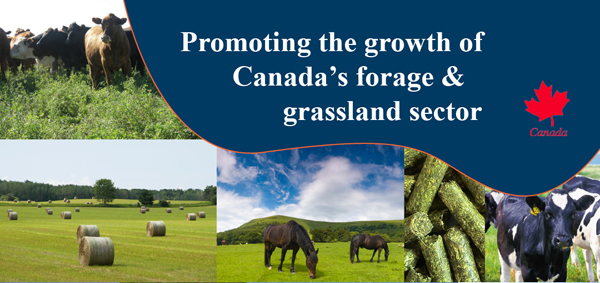 Promoting Canada's forage & grassland 