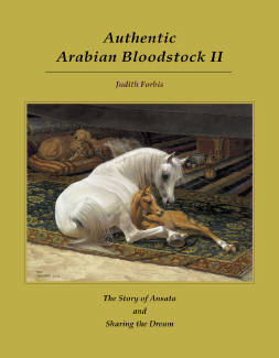 Authentic Arabian Bloodstock