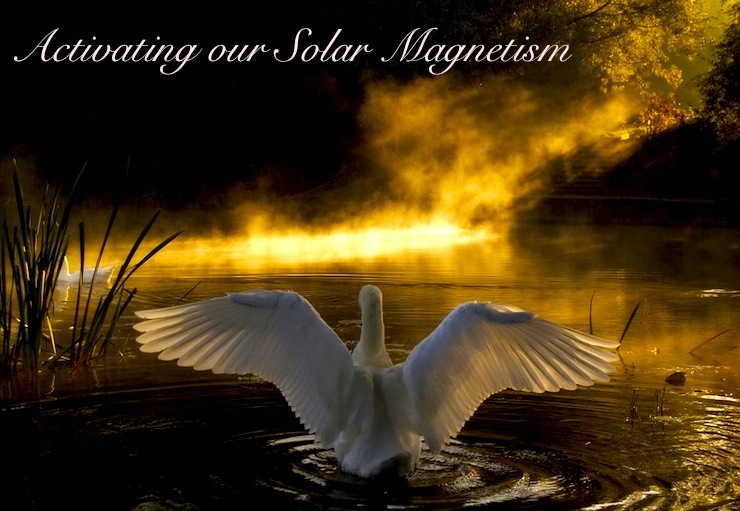 solar swan