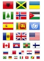 flag  icons