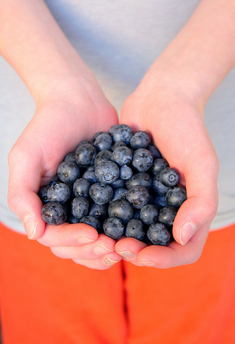 Blueberries Handfull