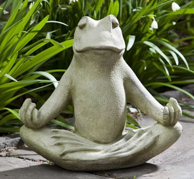 Baby Zen Frog