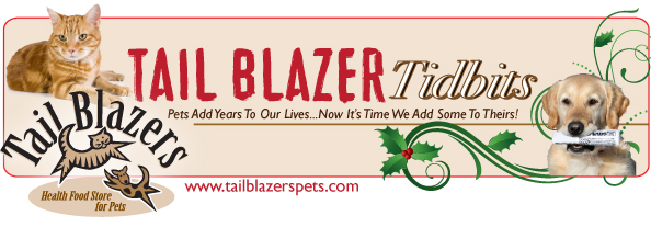 Newsletter - Tail Blazers