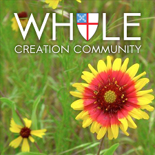 whole creation community