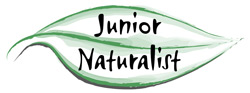 junior naturalist logo