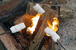 campfire marshmallows