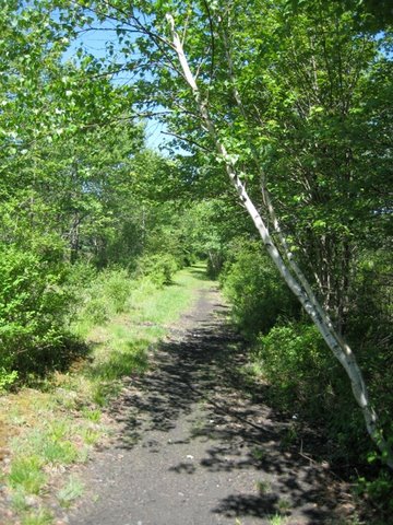 rail trail path