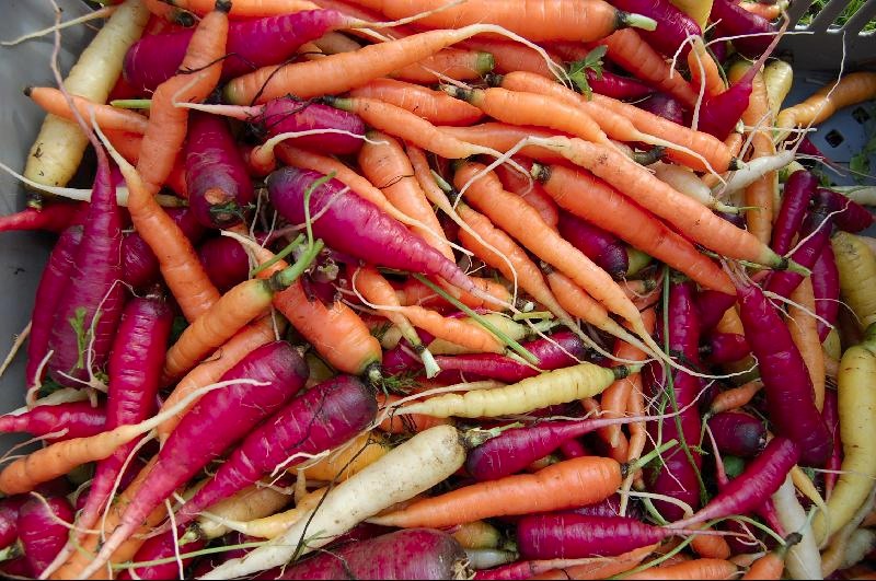 FarmersMarket.carrots