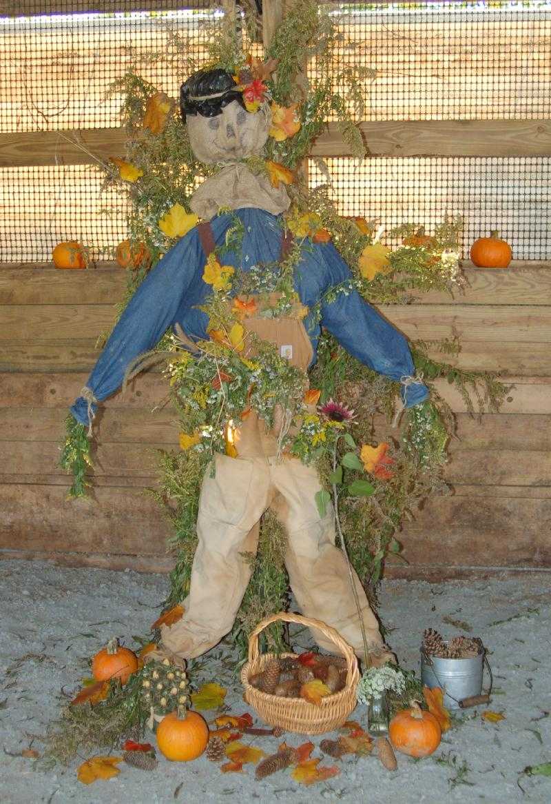 Harvest.scarecrow.08