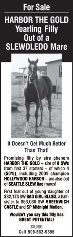 Keith Marks yearling ad