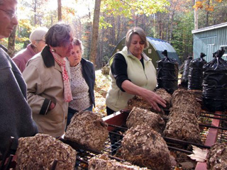 Photo of CSC members visiting Oyster Creek Mushroom Co.