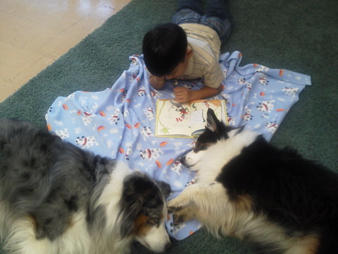 Reading to Neko and Hula