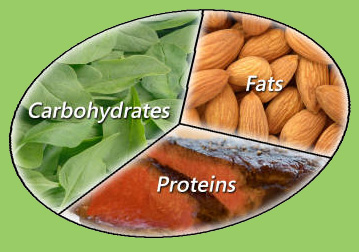 1/3 protein fat carbs