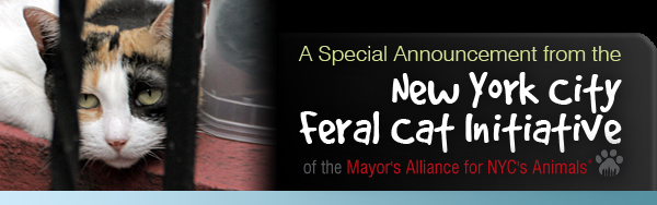 A Special Announcement from the NYC Feral Cat Initiative