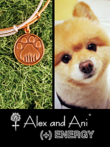 Bark for Bangles at Alex and Ani SoHo - April 21, 2012
