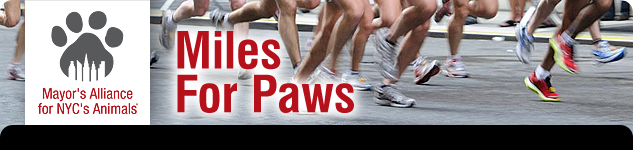 Miles For Paws