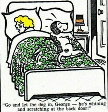 Dog on bed cartoon