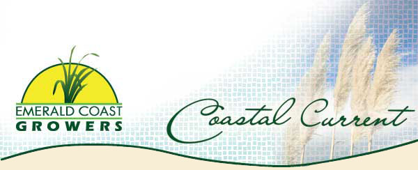 Coastal Current