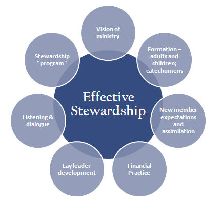 Stewardship diagram