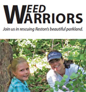 Weed Warriors Brochure