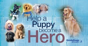 Help a Puppy Become a Hero