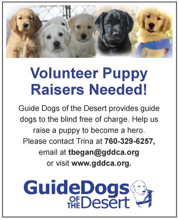 Volunteer Puppy Raisers needed