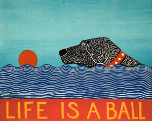 life is a ball