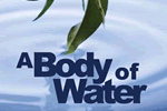 Body of Water logo
