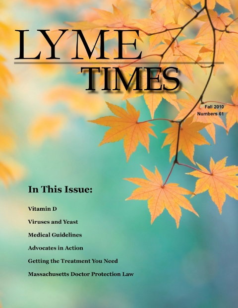 Lyme Times cover image