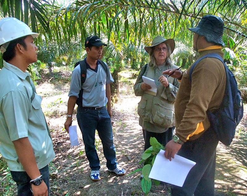 Dr. Galdikas advises palm oil workers.