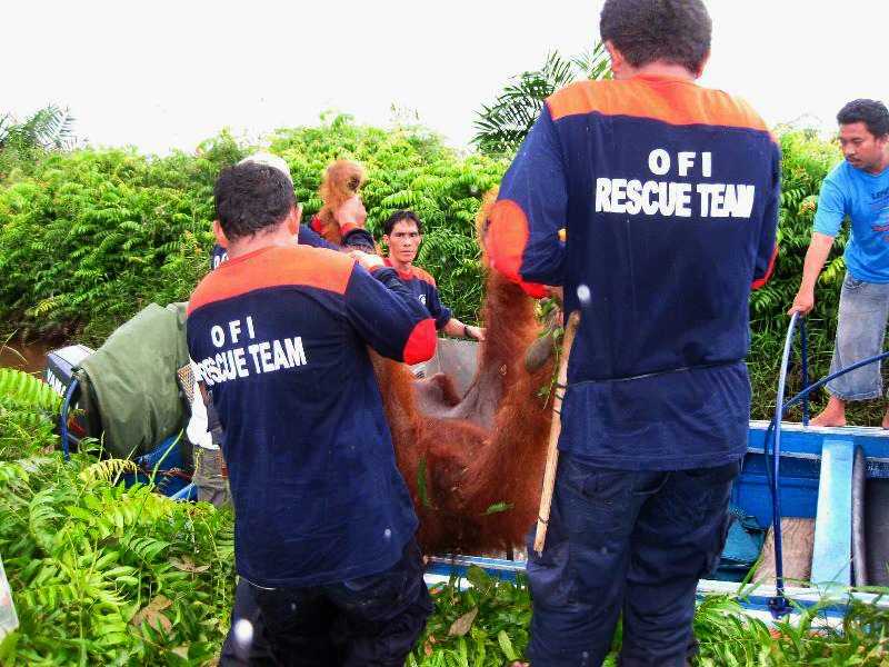 OFI Rescue Team
