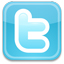 Networking: twitter logo