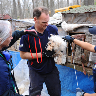 Scotlund Haisley at Puppy Mill Rescue