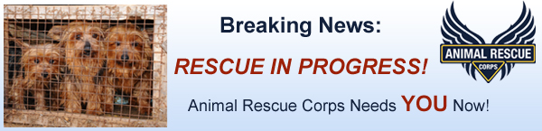 puppy mill rescue e appeal header