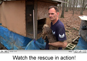 TN puppy mill rescue video screen