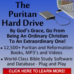 Puritan-Hard-Dr...-250x250-C.jpg