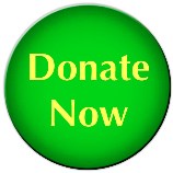 Donate Now Button