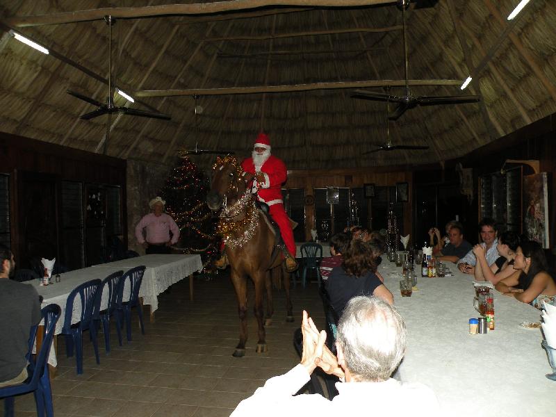 Aly Banana takes role as Santas reindeer !!