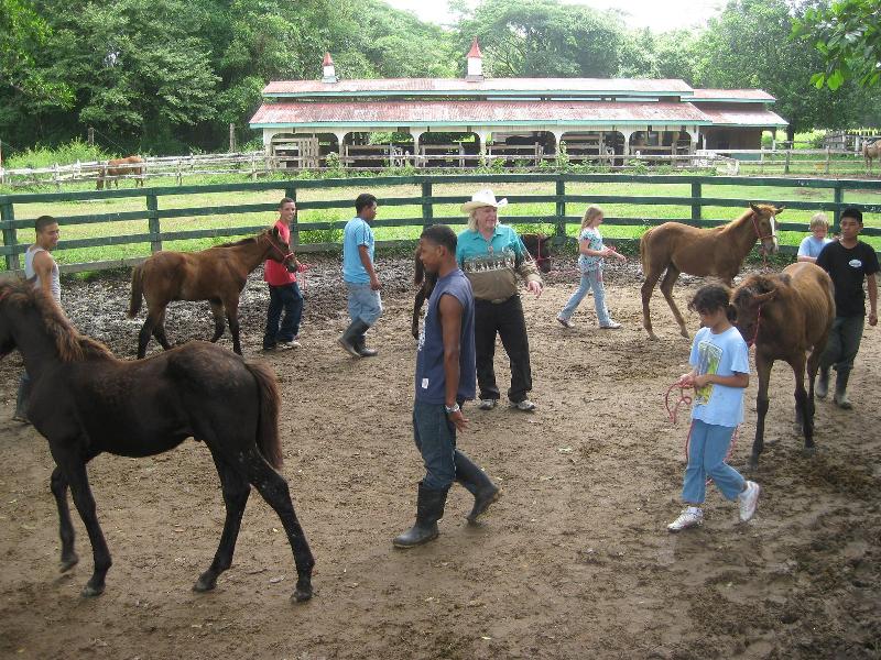 John Carr is teaching kids to train colts to halter lead