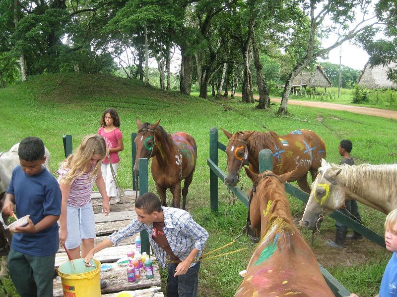 Campers painting their horses.