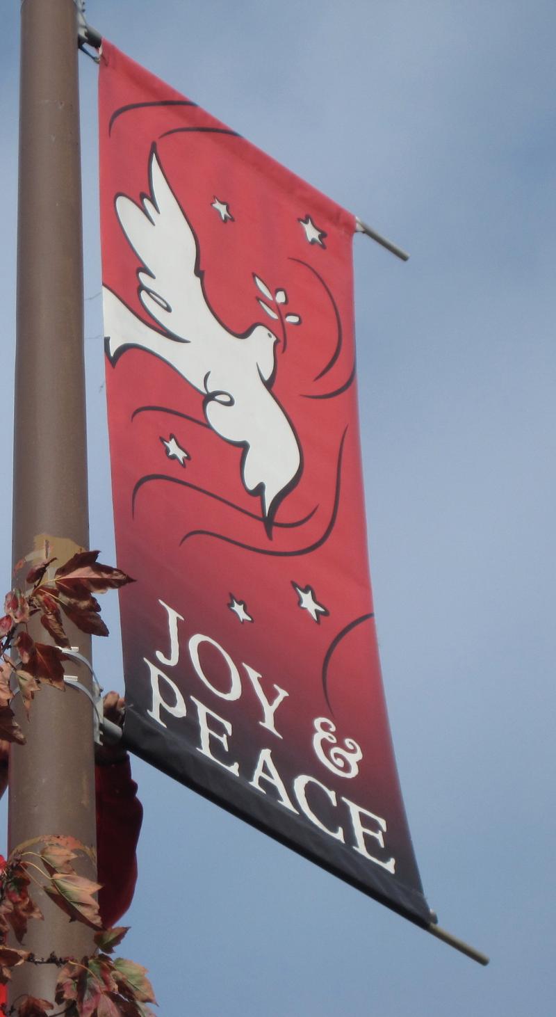 Joy & Peace Banner