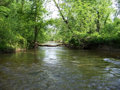 Bull Creek