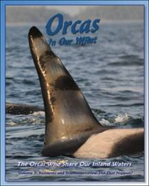 Orcas in Our Midst, volume 3, by Howard Garrett