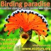 Birding Colombia