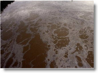 CWA Violation - Oil Spill in Muddy Water